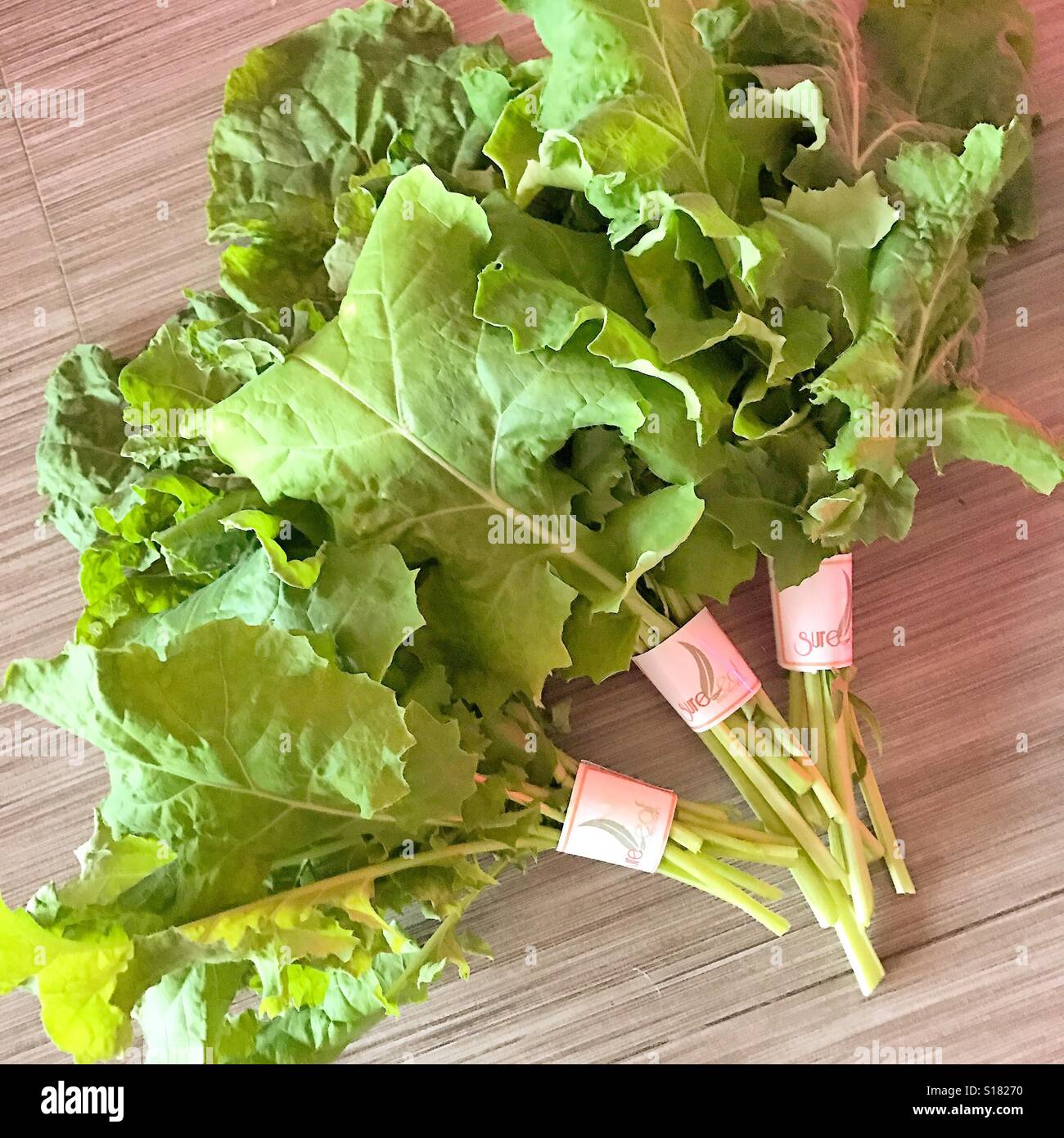 Siberian Kale Stock Photo