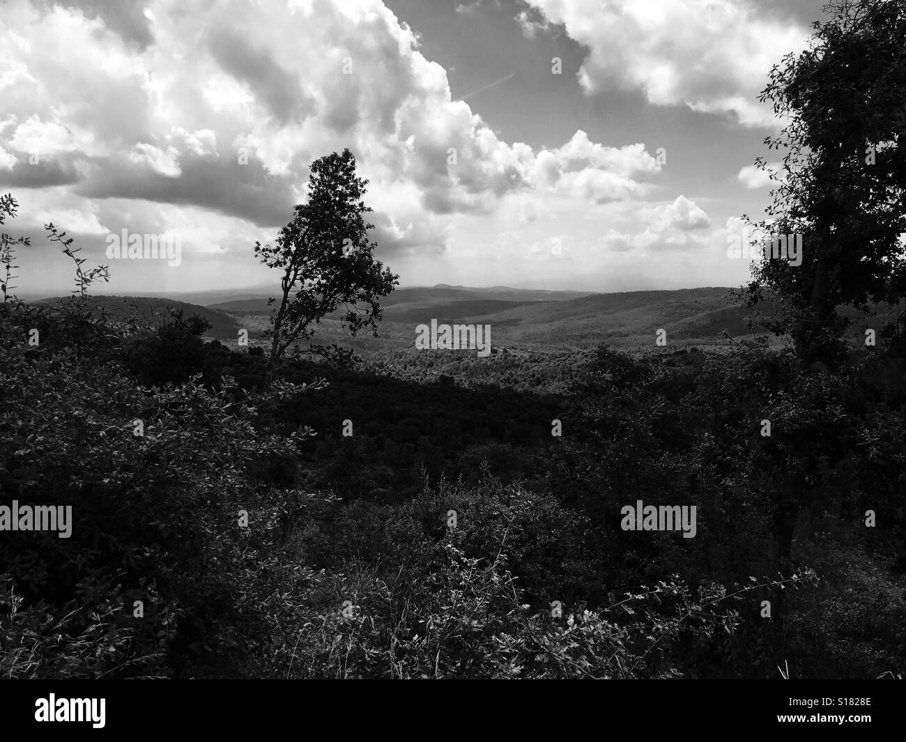 Tuscan countryside in black and white - Smartphone Captured Stock Image