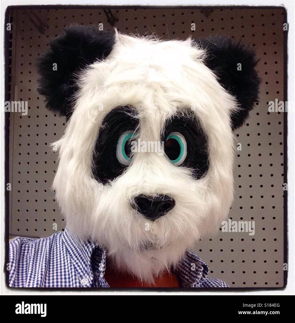 Hey male wearing a silly panda bear mask with the stripe shirt in front of  a pegboard background for a humorous effect Stock Photo - Alamy