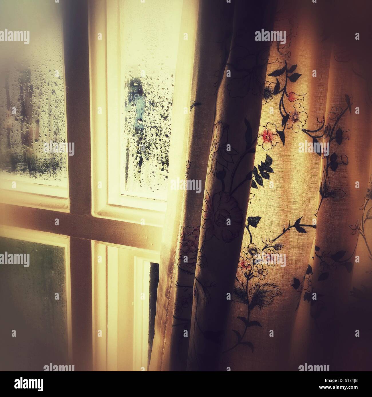A steamy window and curtains - Smartphone Captured Stock Image