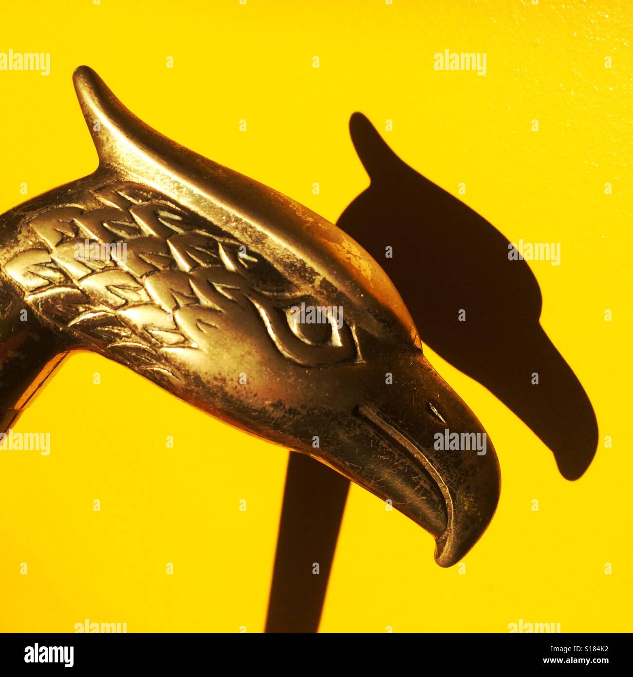 An eagle headed walking stick handle - Smartphone Captured Stock Image