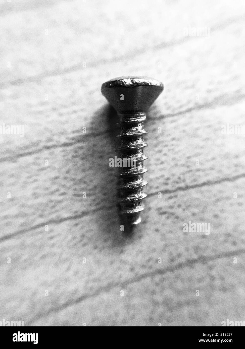 Pan head Phillips wood screw - Smartphone Captured Stock Image