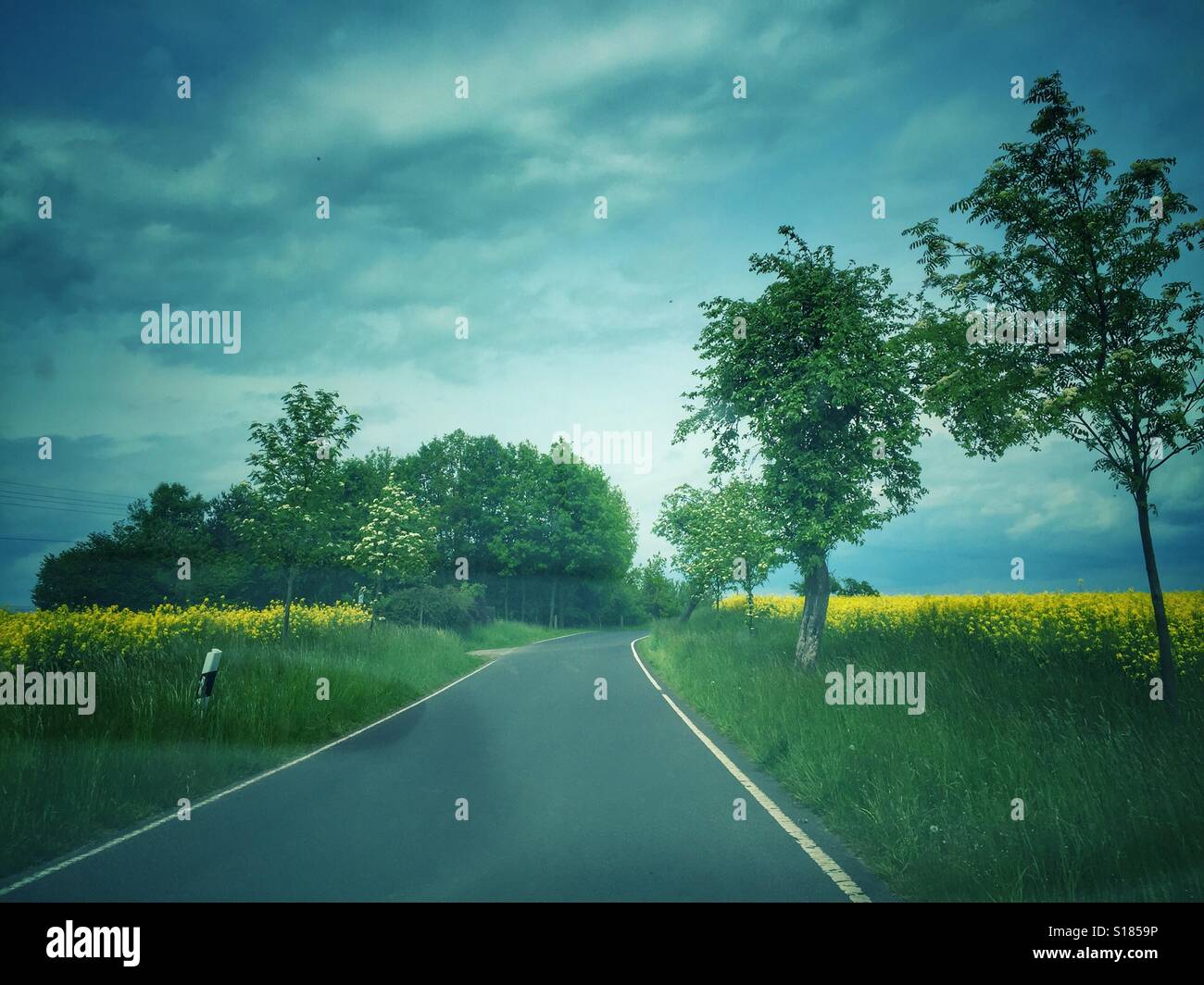 On the move - roads in spring - Smartphone Captured Stock Image