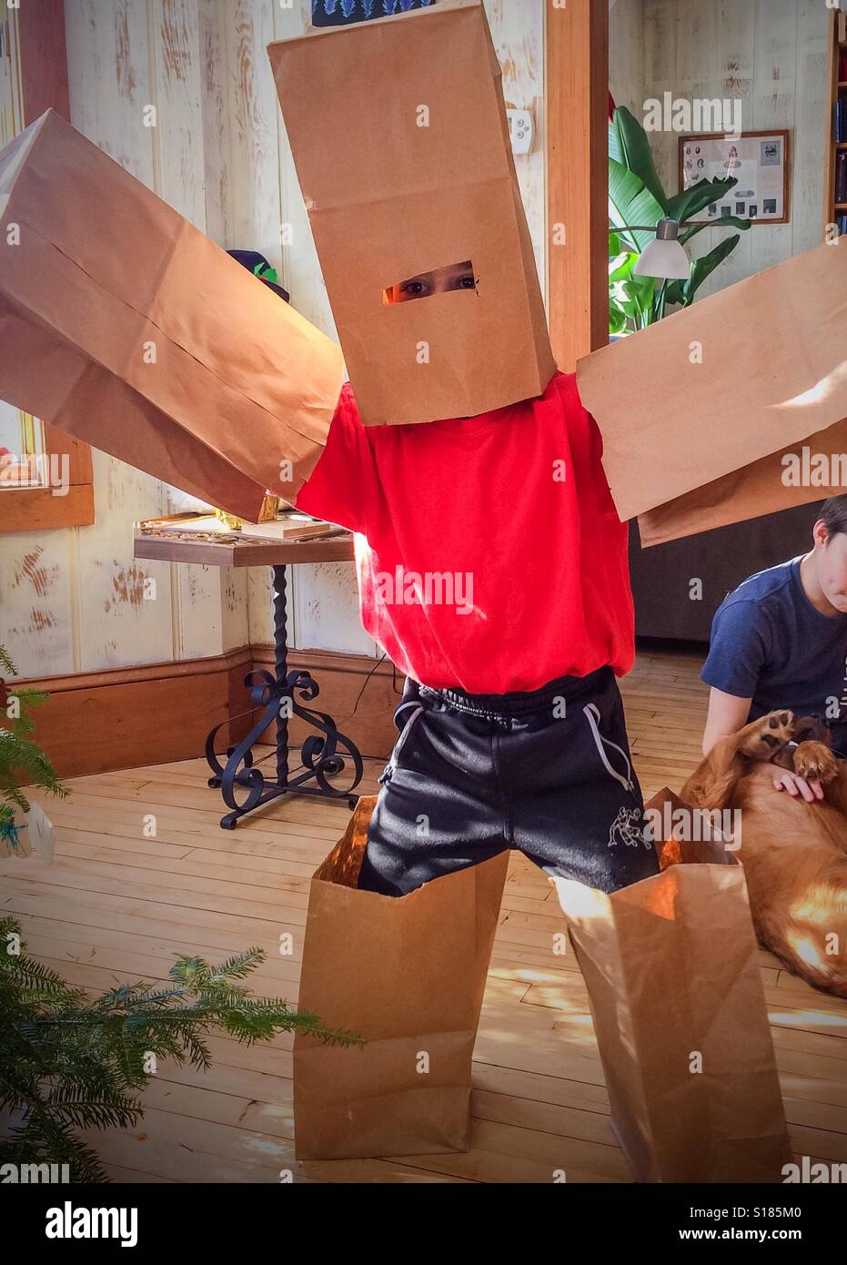 Paper bag robot boy. - Smartphone Captured Stock Image