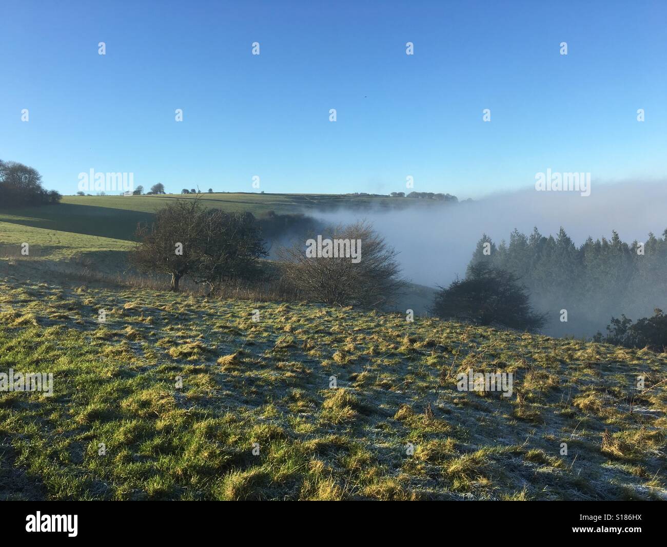 Above the fog layer on the Berkshire downs on a bright winter day with frost on the ground near Newbury, December - Smartphone Captured Stock Image Above the fog layer on the Berkshire downs on a bright winter day with frost on the ground near Newbury, December - Smartphone Captured Stock Image