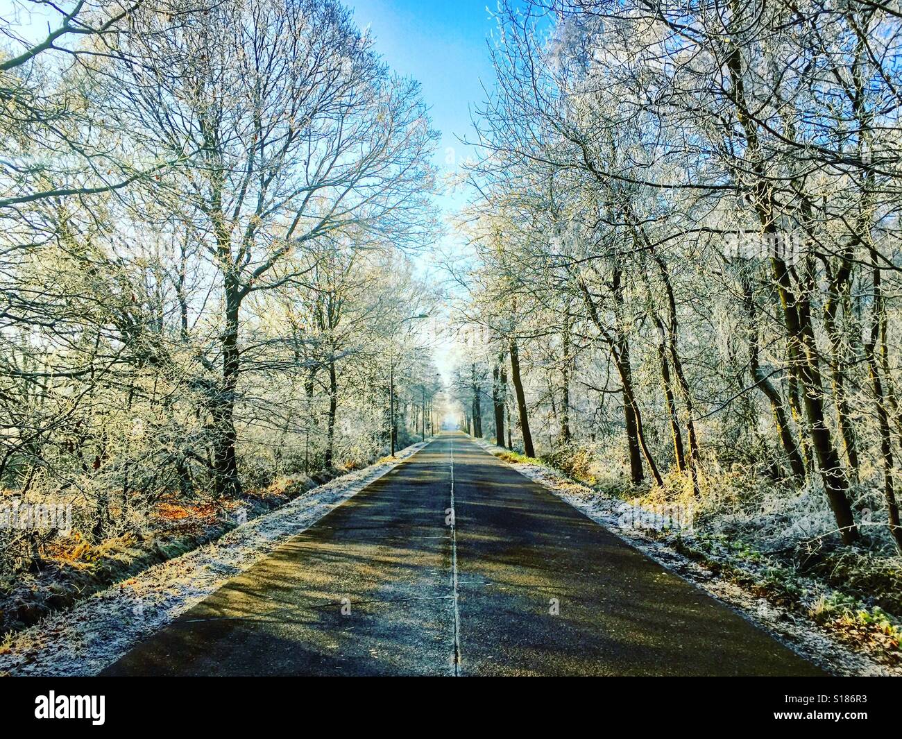 Winter road - Smartphone Captured Stock Image