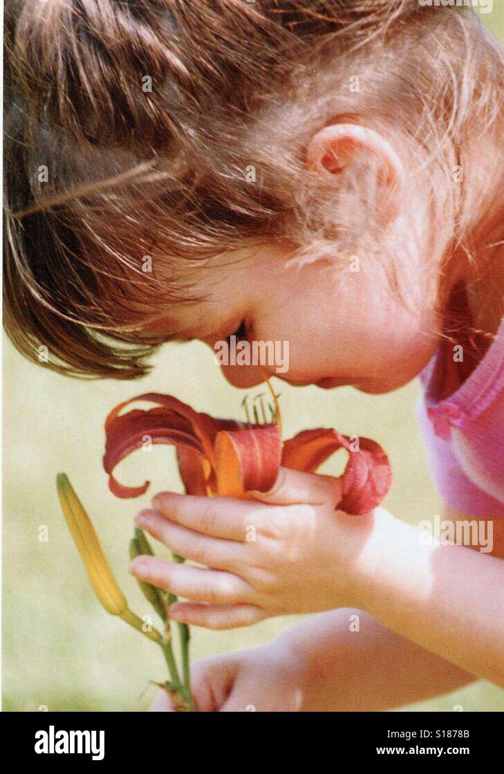 Stop and smell the flowers Stock Photo Alamy