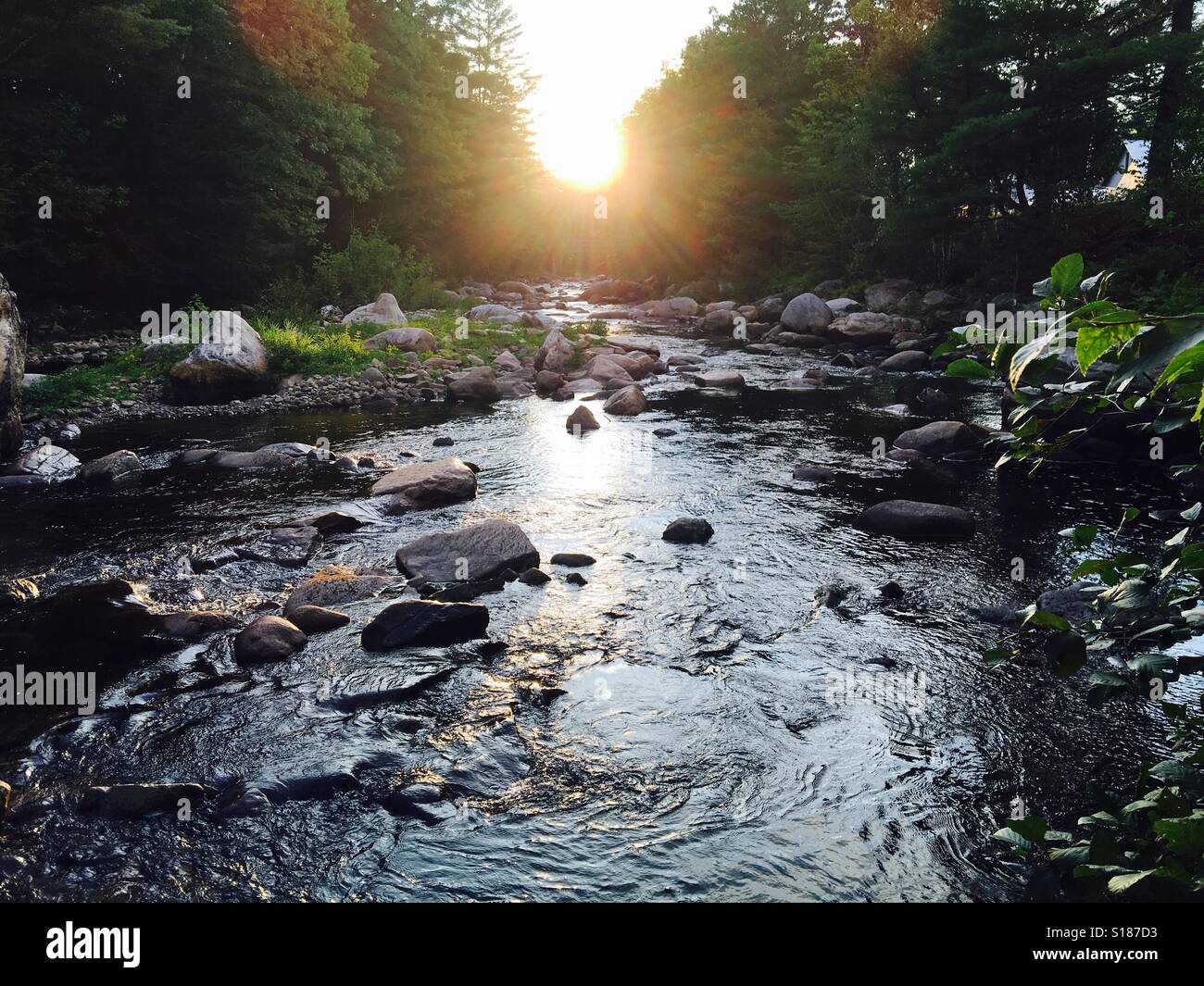 Bear camp river NH Stock Photo Alamy
