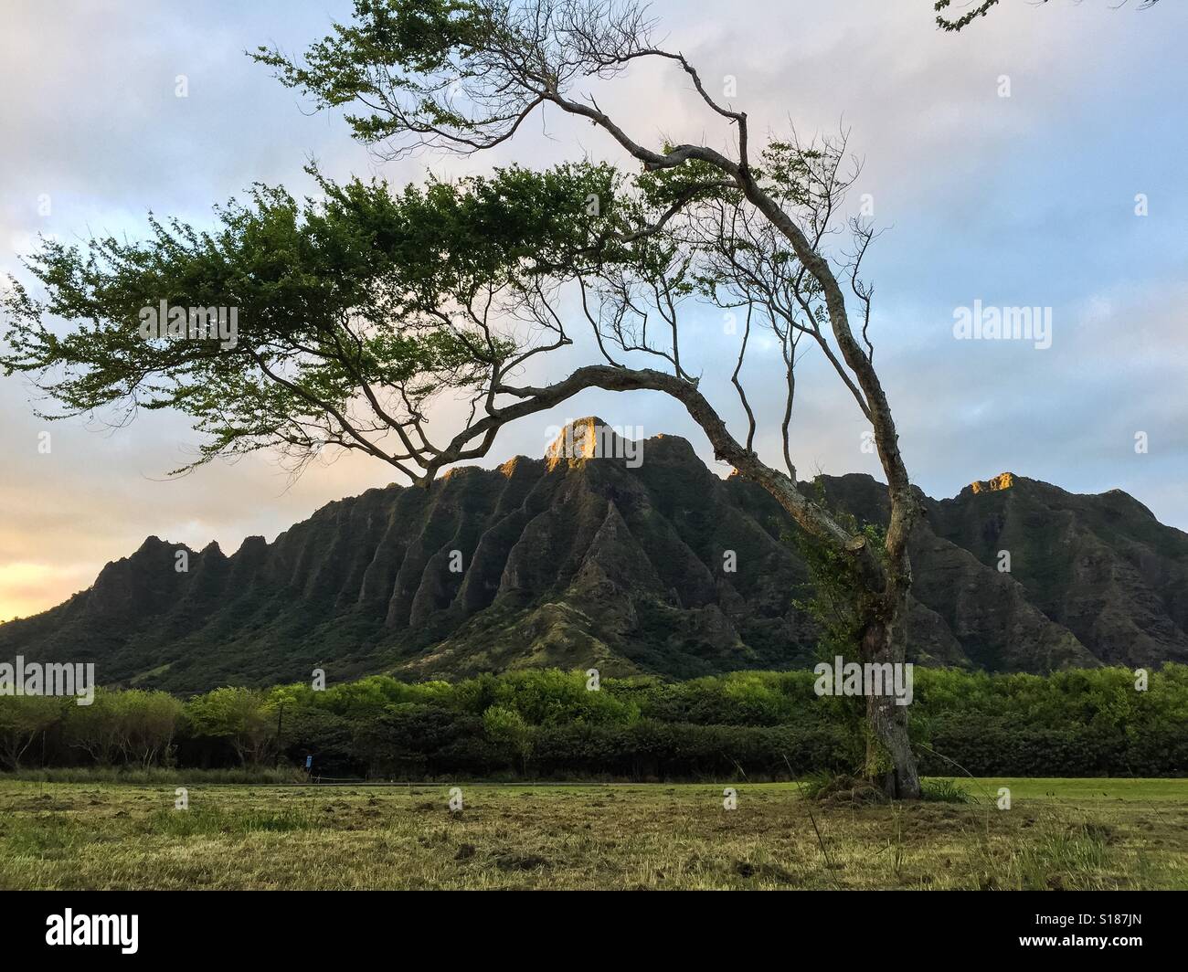 Hawaii mountain sunset hi-res stock photography and images - Alamy