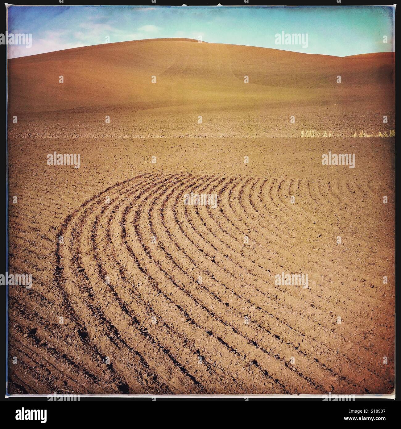 Plowed wheat field in late autumn in the Palouse region of Washington State, USA - Smartphone Captured Stock Image