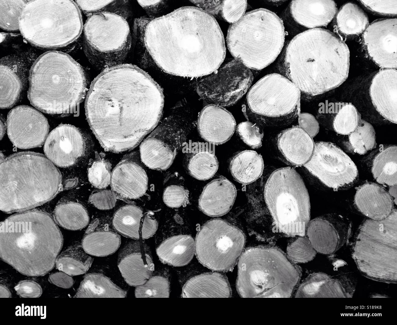 Stack of firewood logs - Smartphone Captured Stock Image