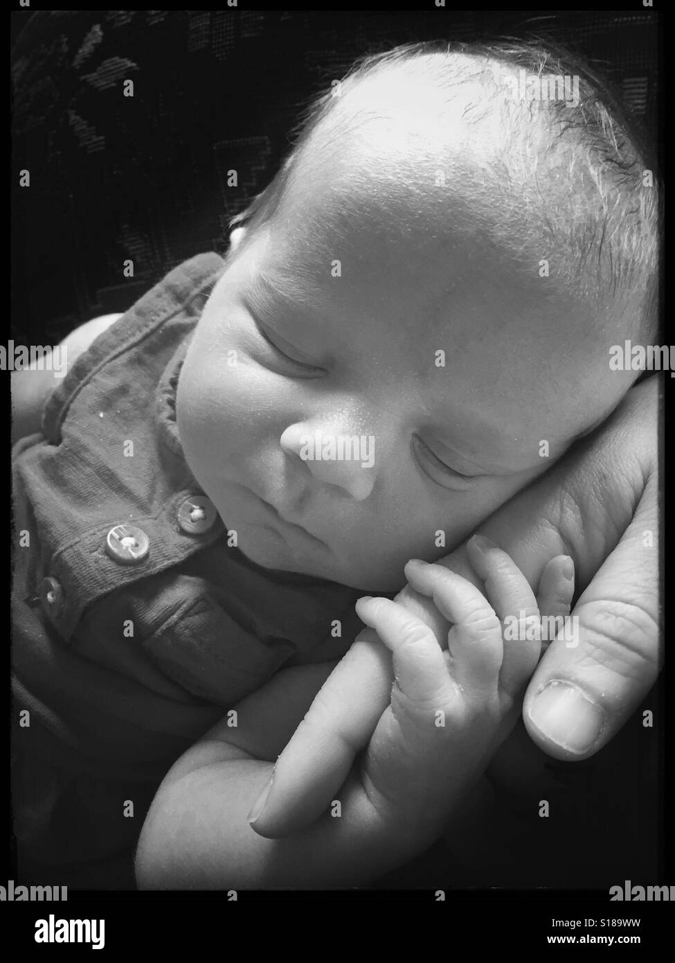 Newborn baby girl hand hires stock photography and images Alamy