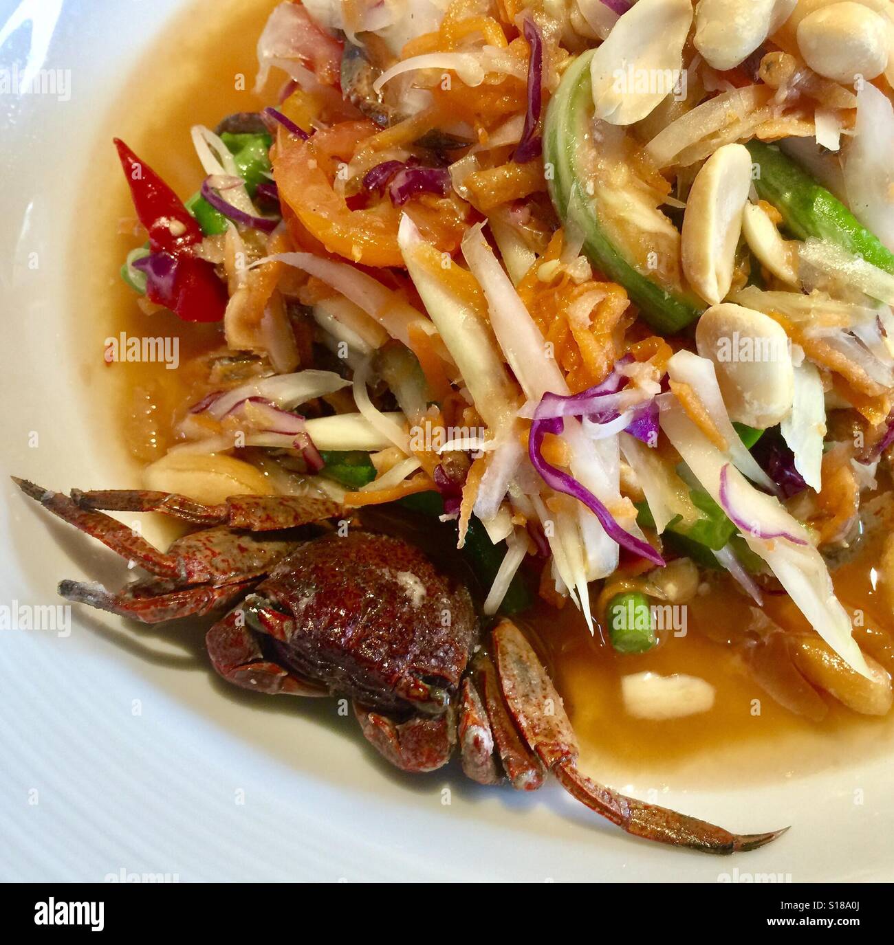 https://c8.alamy.com/comp/S18A0J/spicy-papaya-salad-som-tum-decorated-with-a-crab-chiang-rai-thailand-S18A0J.jpg