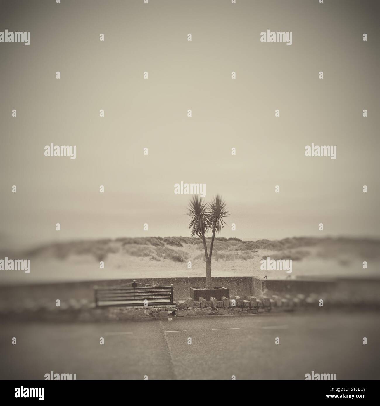 A black and white image of a bleak seaside scene - Smartphone Captured Stock Image