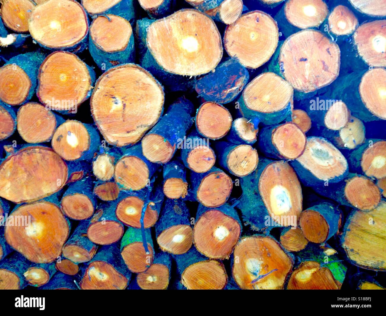 Stack of firewood logs - Smartphone Captured Stock Image