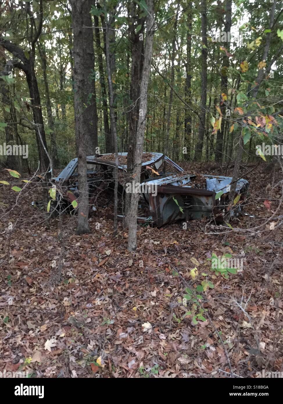 Car abandoned woods hi-res stock photography and images - Alamy