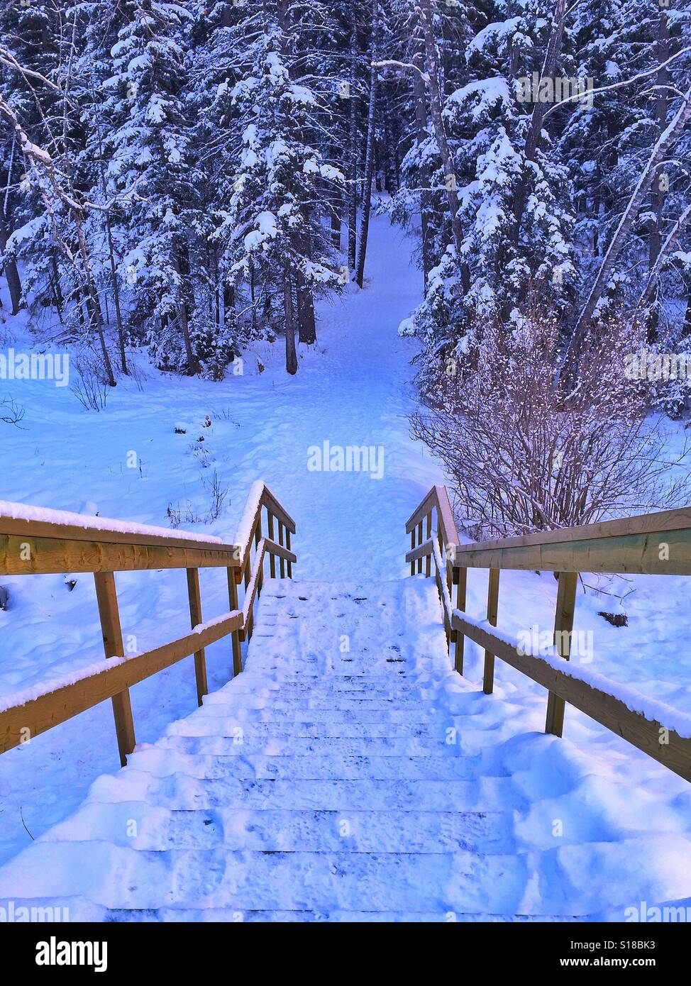 Pathway Winter High Resolution Stock Photography and Images - Alamy