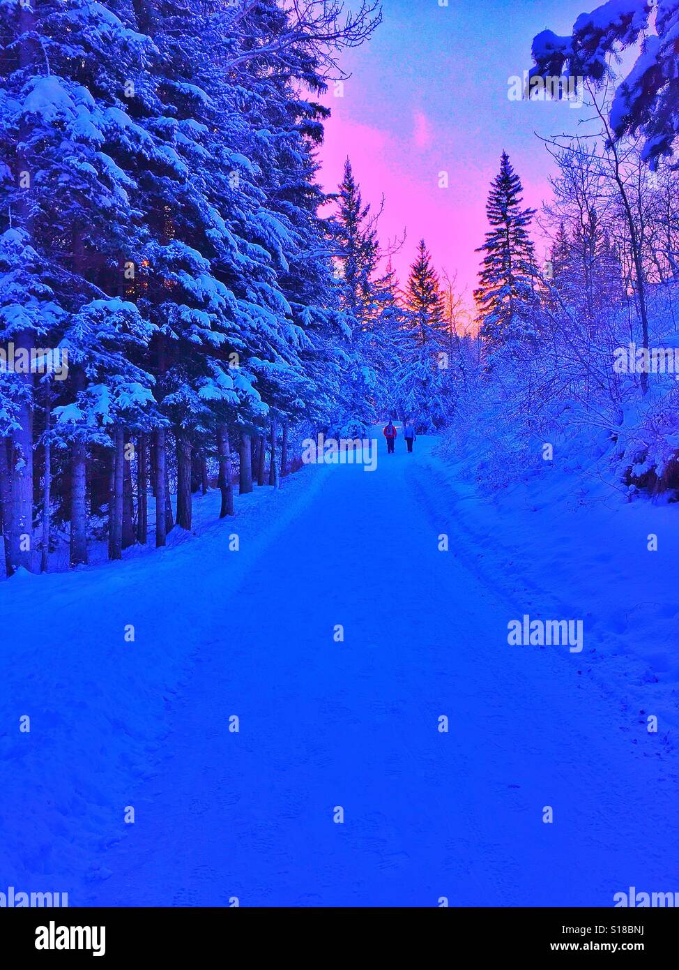 Winter wonderland hiking - Smartphone Captured Stock Image