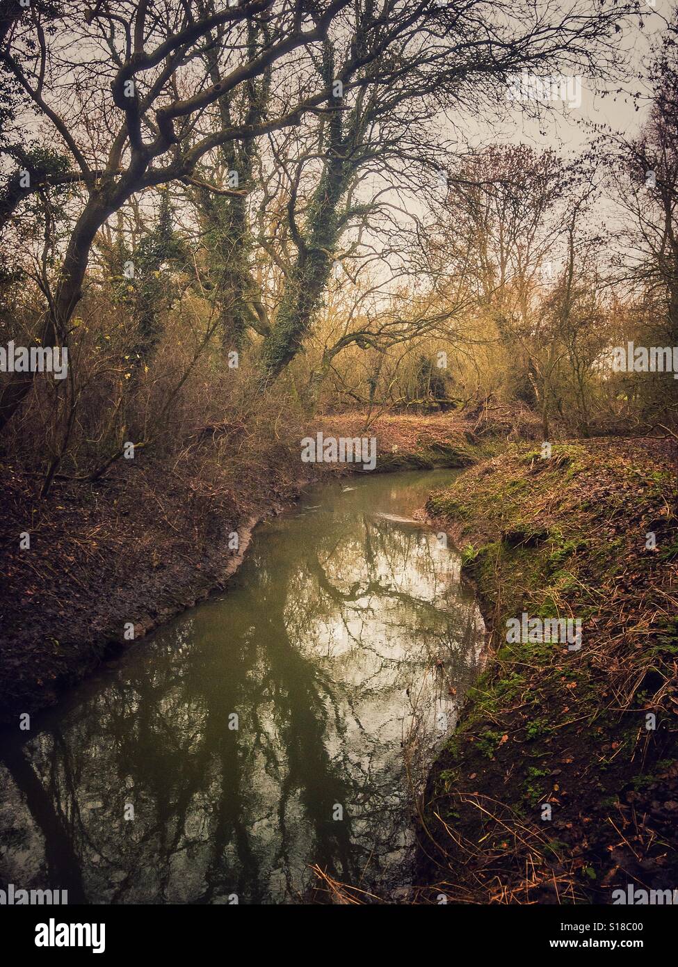 River flowing through a woodland hi-res stock photography and images ...