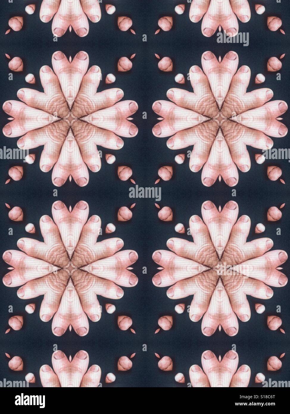 An abstract conceptual image of flower starbursts made from human fingers Stock Photo