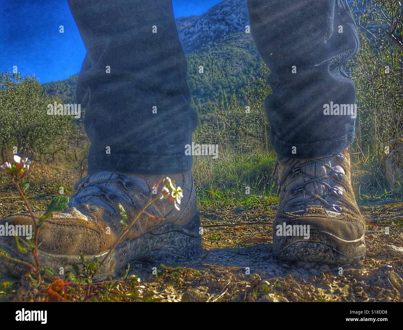 Hiking in the mountains, low angle view, late afternoon light - Smartphone Captured Stock Image
