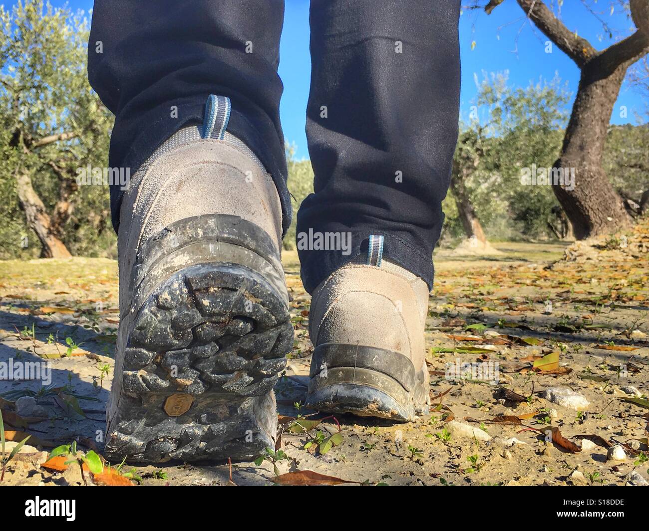 Hiking in the countryside, low angle view - Smartphone Captured Stock Image