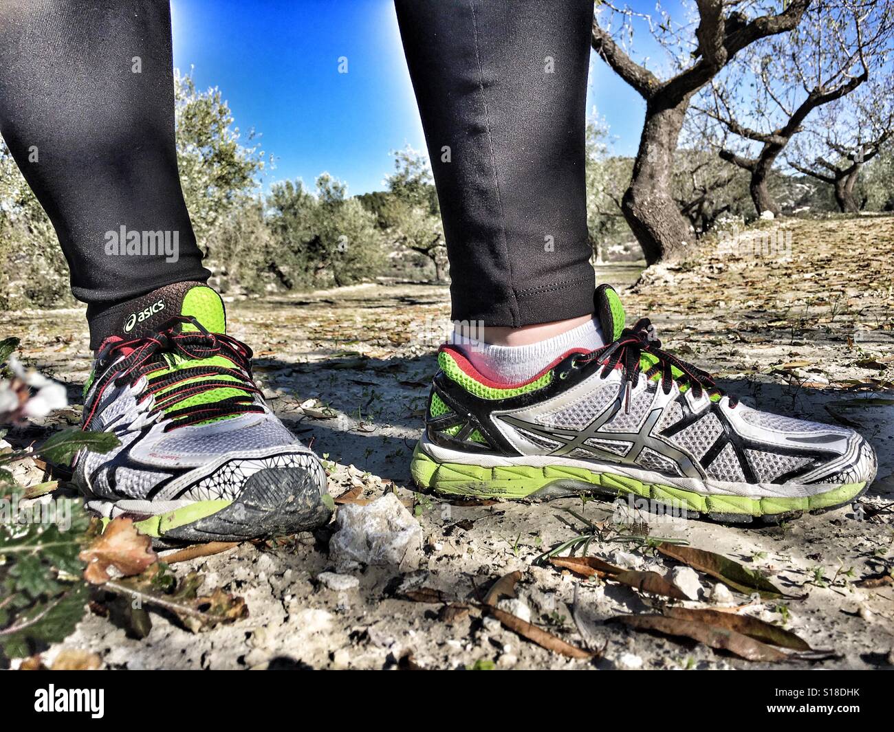 Healthy lifestyle. Taking a rest during a cross country run - Smartphone Captured Stock Image