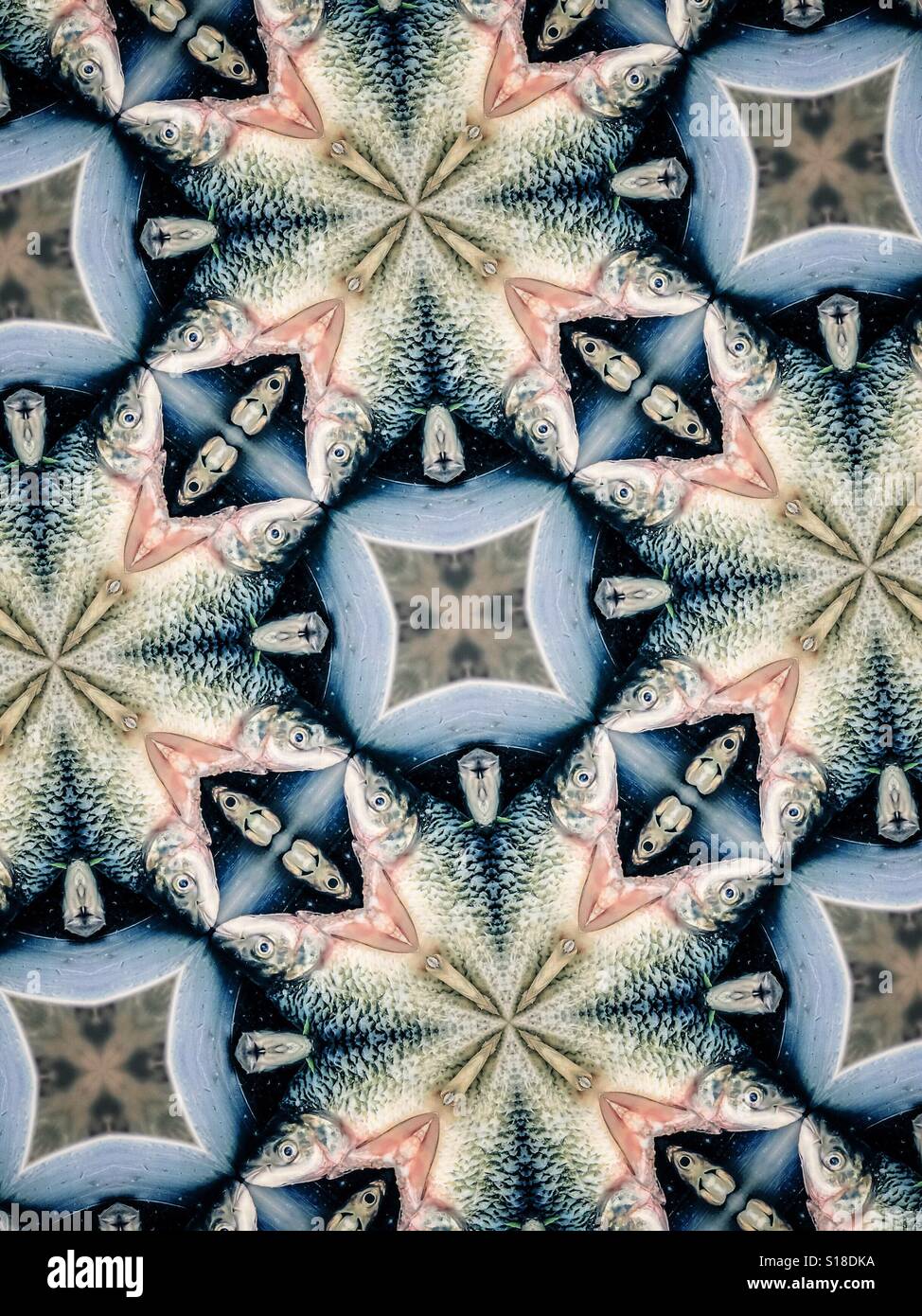 An abstract design of fish in starburst patterns Stock Photo