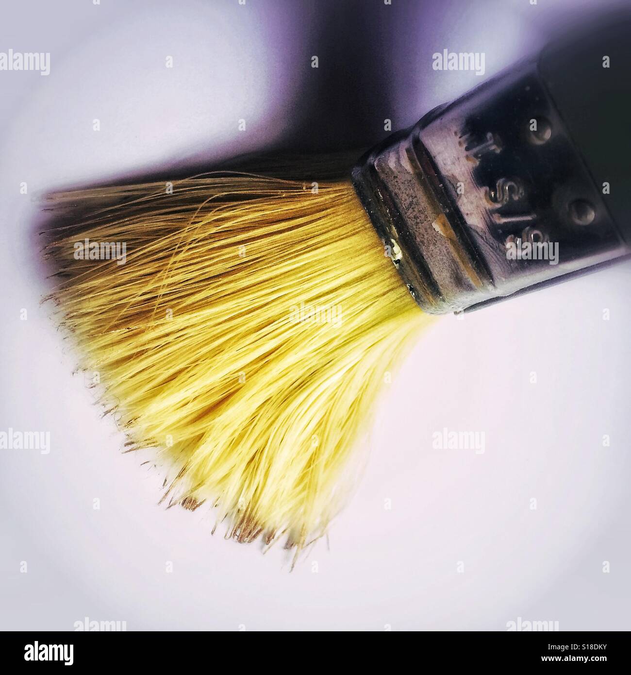 Paint brush hi-res stock photography and images - Alamy
