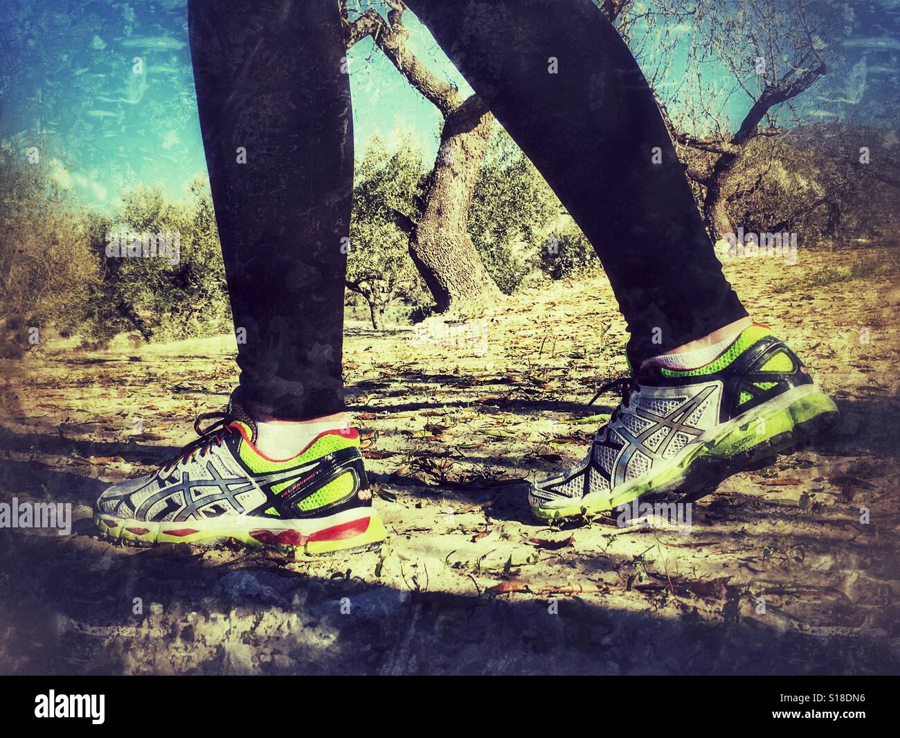 Healthy lifestyle. Walking in the countryside - Smartphone Captured Stock Image
