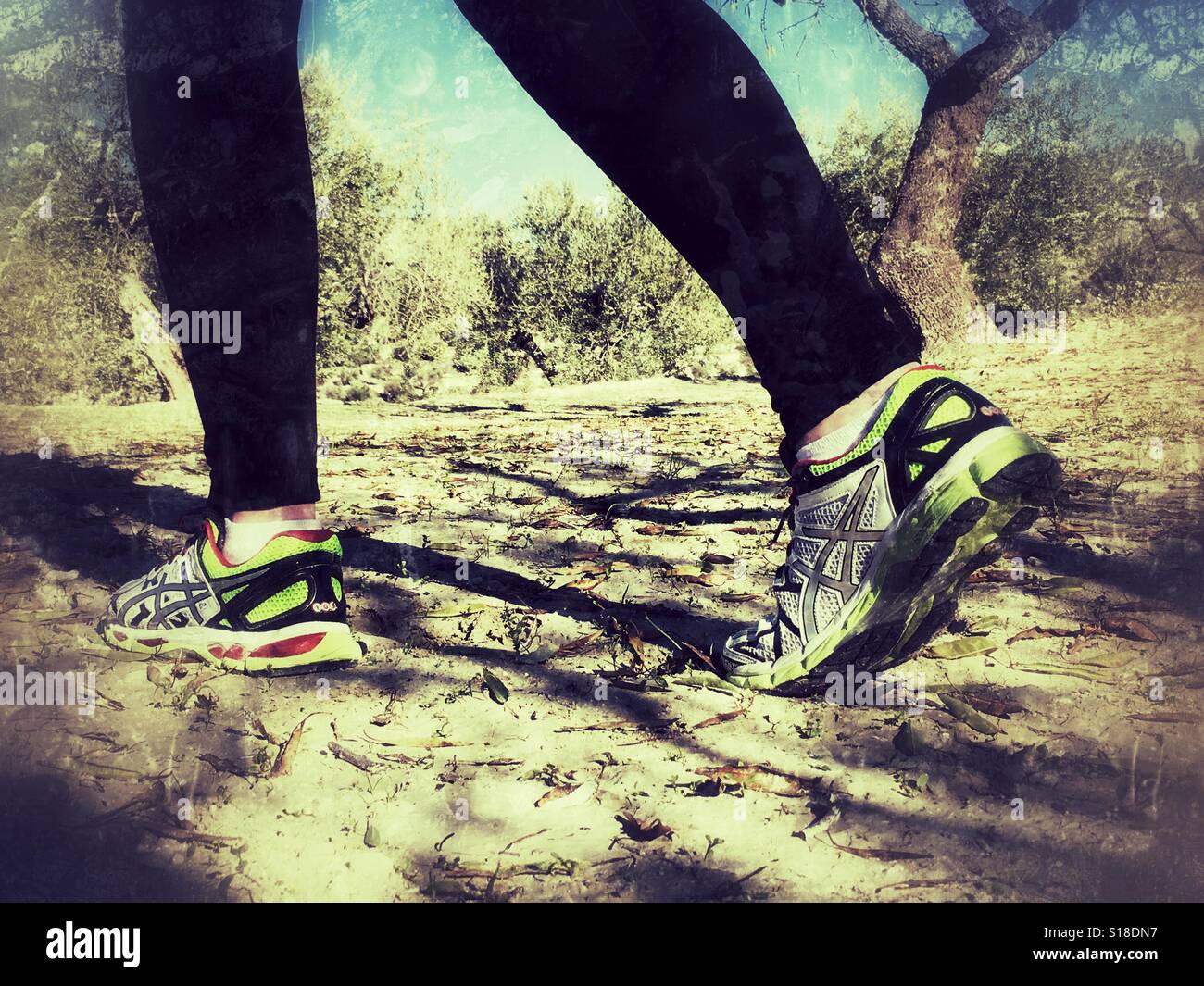 Healthy lifestyle. Walking in the countryside Stock Photo