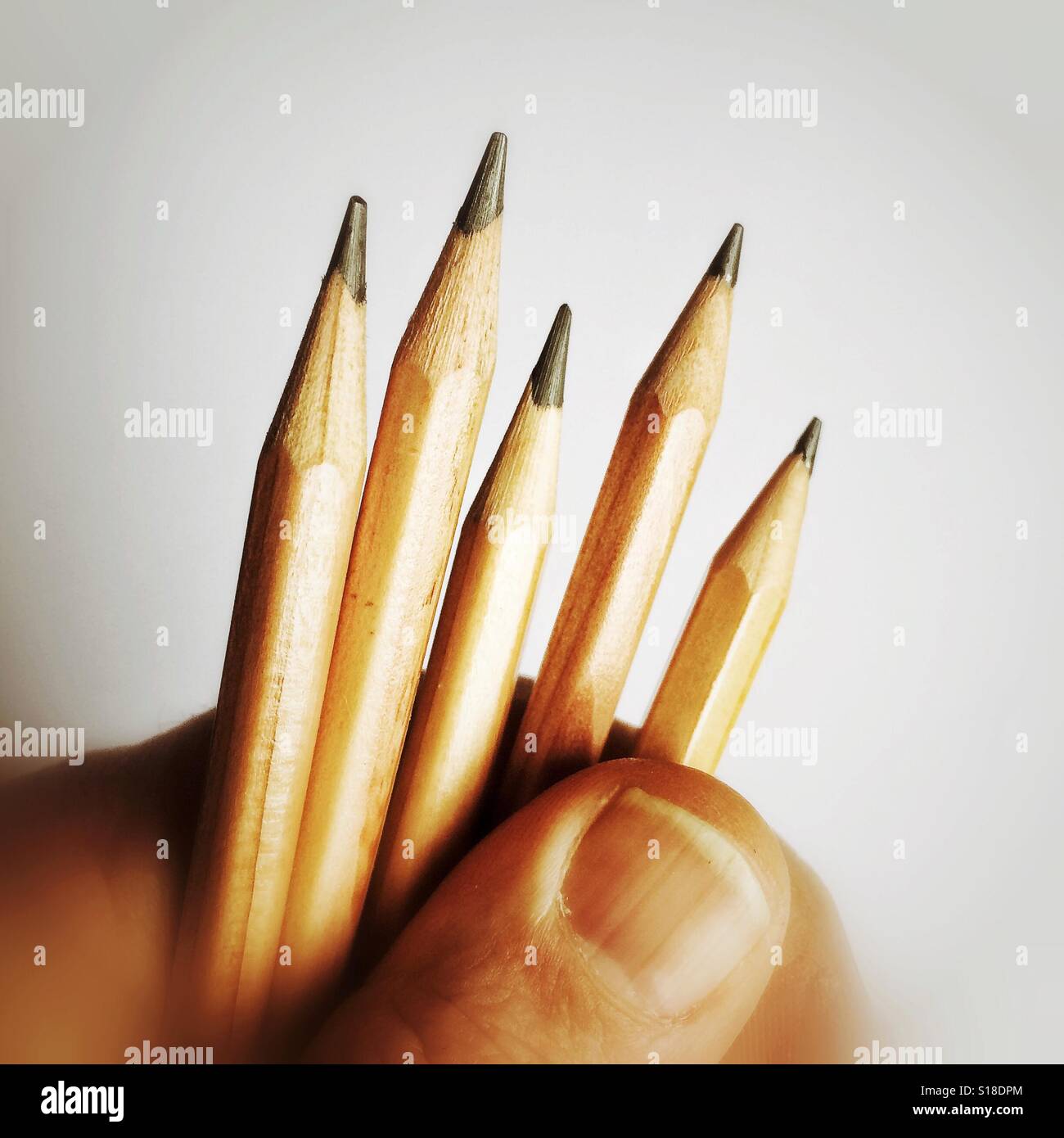 Holding five pencils Stock Photo