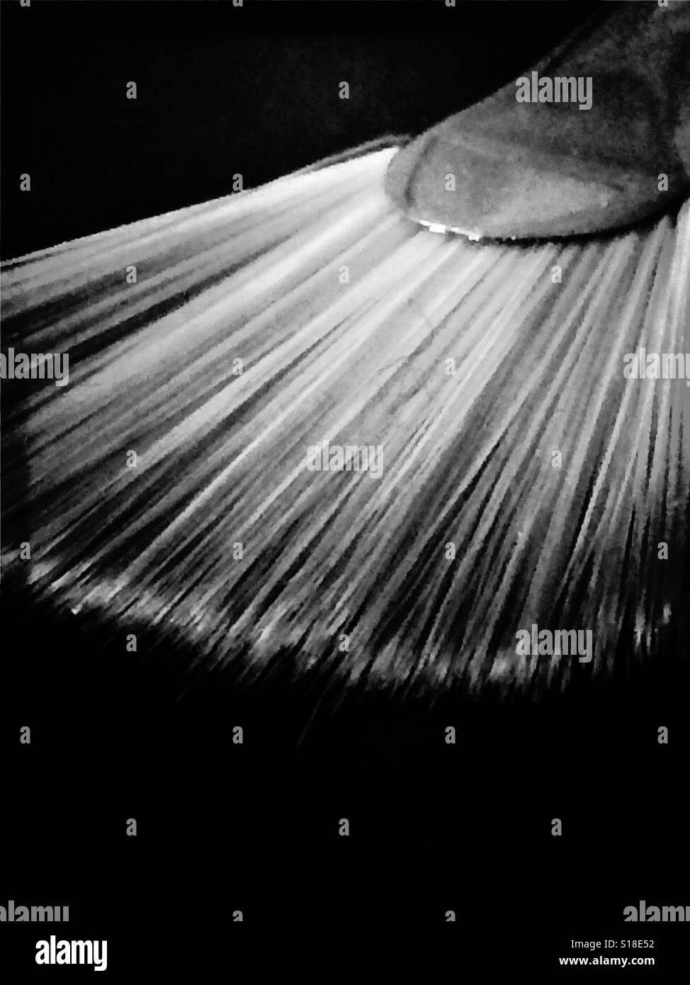 Paint brush in black and white Stock Photo Alamy