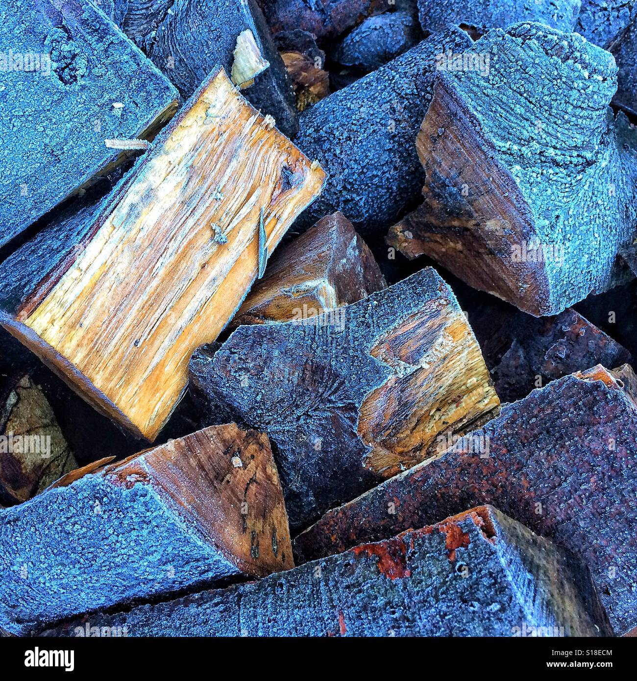 Frost on firewood - Smartphone Captured Stock Image