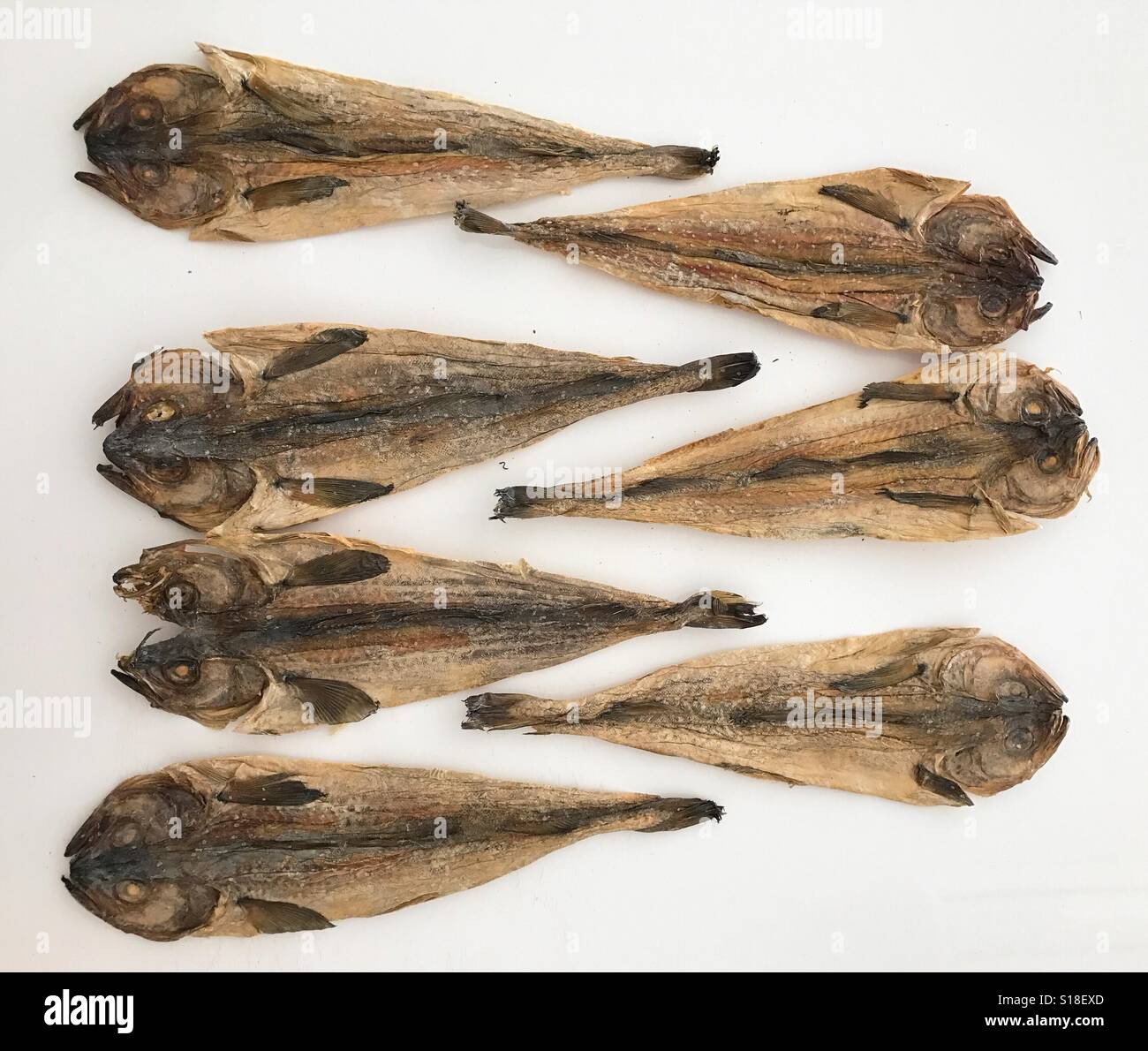 Row of dried fishes on a white table Stock Photo