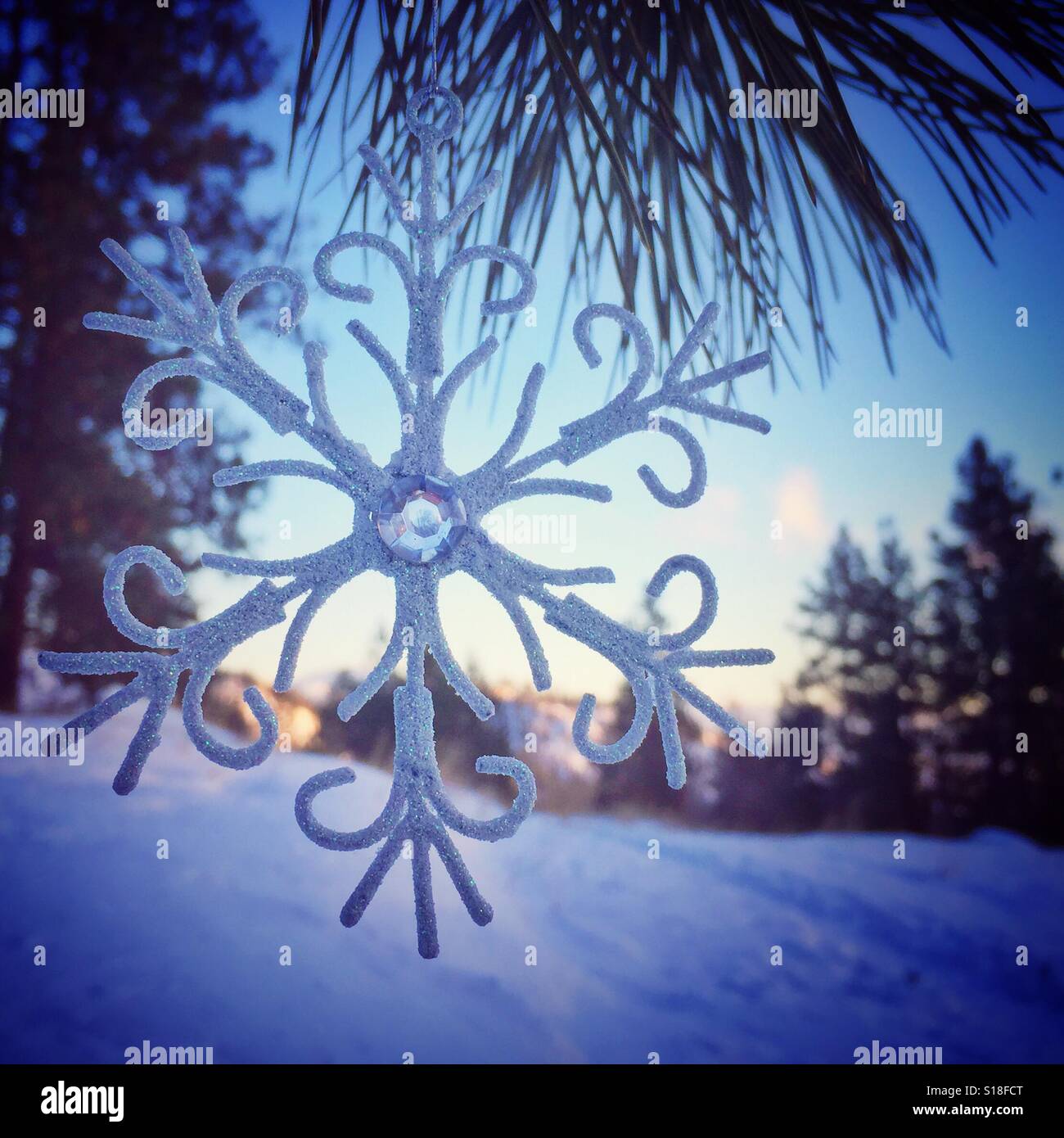 Snow flake ornament sparkles on a pine tree branch in the forest on a cold Winter afternoon. - Smartphone Captured Stock Image