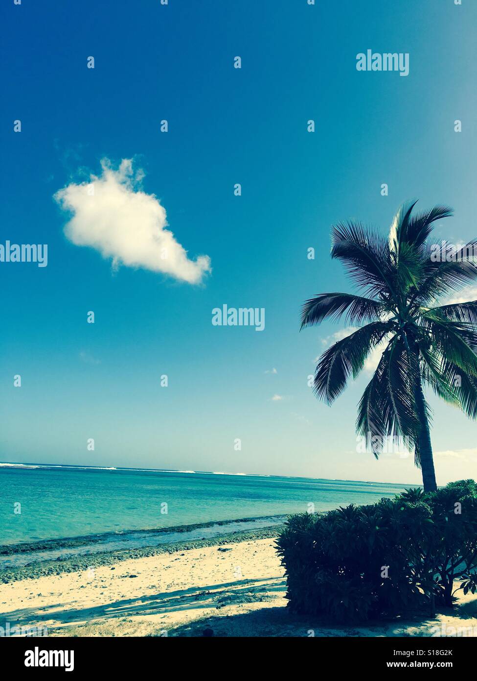 Beach views in Mauritius Stock Photo Alamy