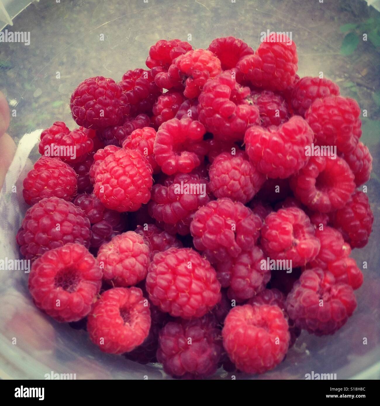 Sweet berry Stock Photo Alamy