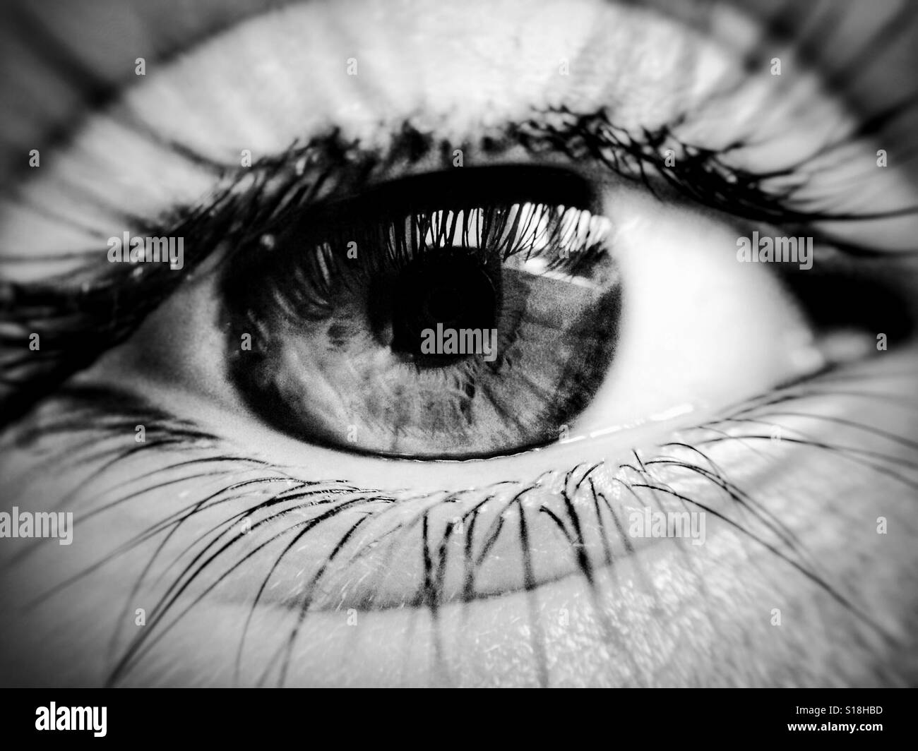 Eyeblack hi-res stock photography and images - Alamy