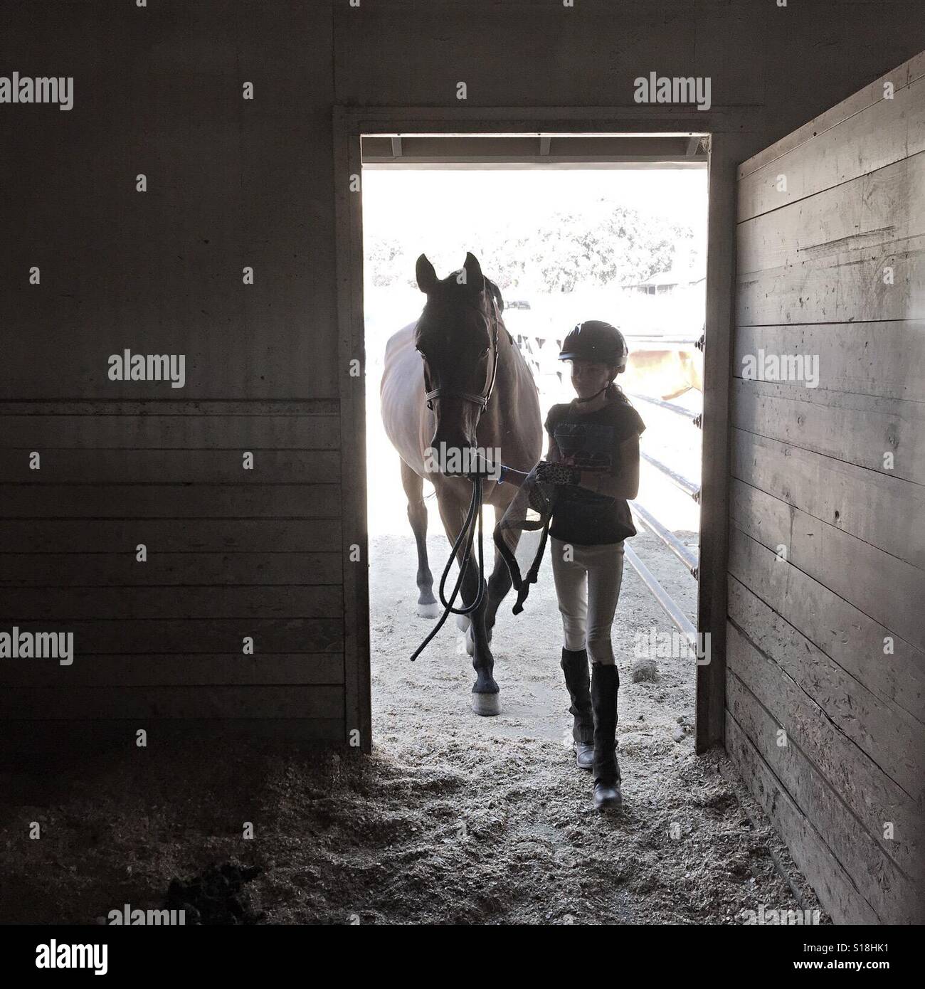 Walking horse girl child hires stock photography and images Alamy