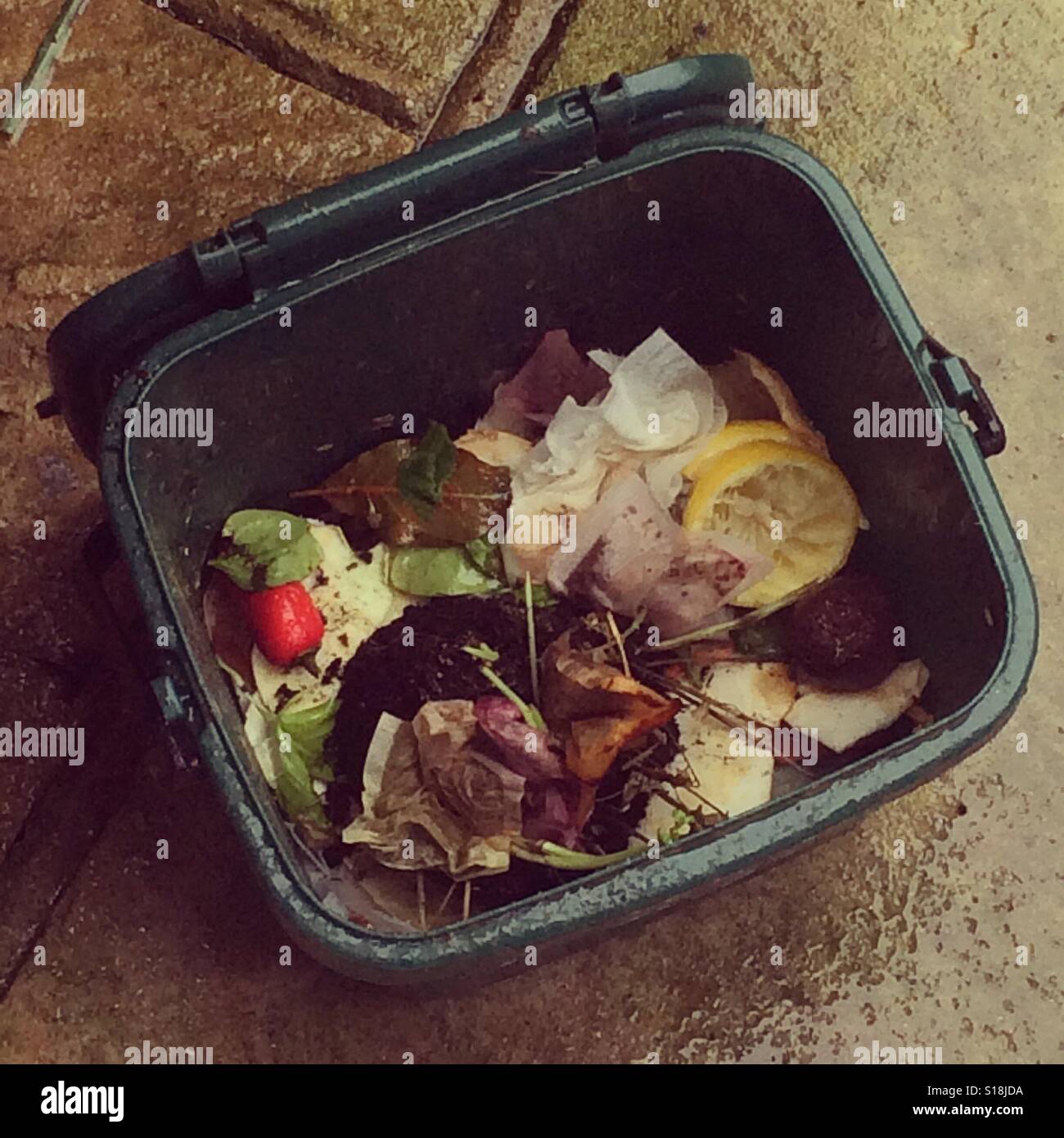 Waste food composting bin on patio in the rain Stock Photo Alamy
