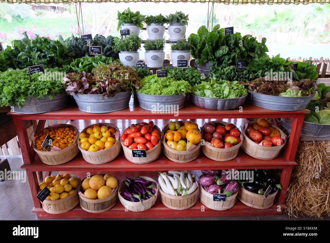 Organic vegetables for sale at Flora Farm, San Jose del Cabo, Mexico. Stock Photo