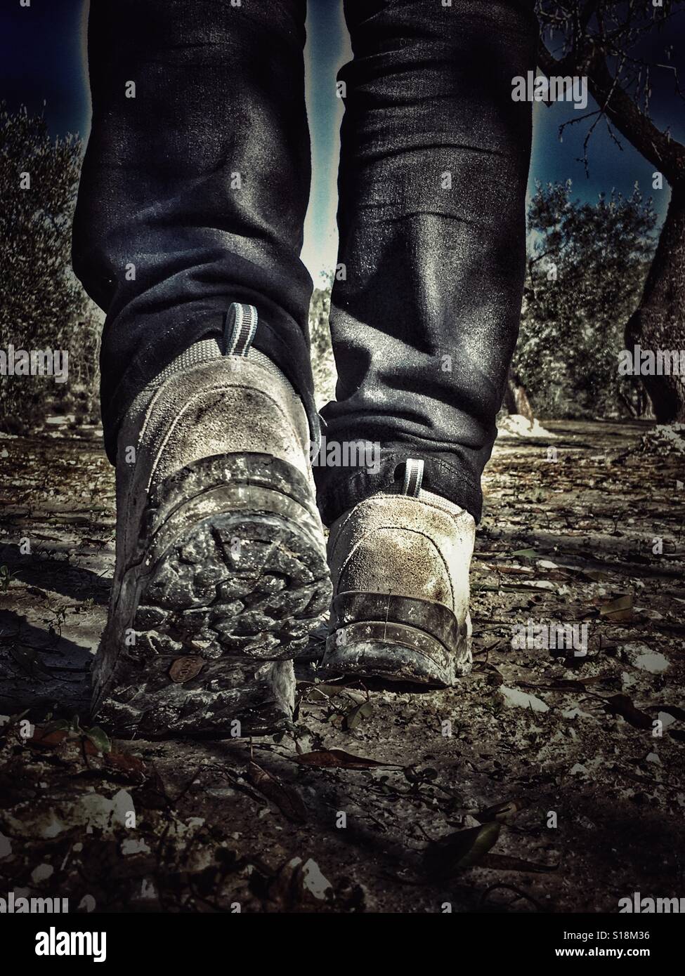 Hiking in the countryside - Smartphone Captured Stock Image