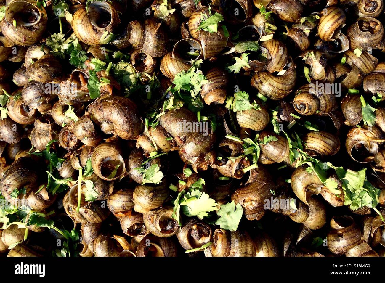 Garden snails, street food Stock Photo Alamy