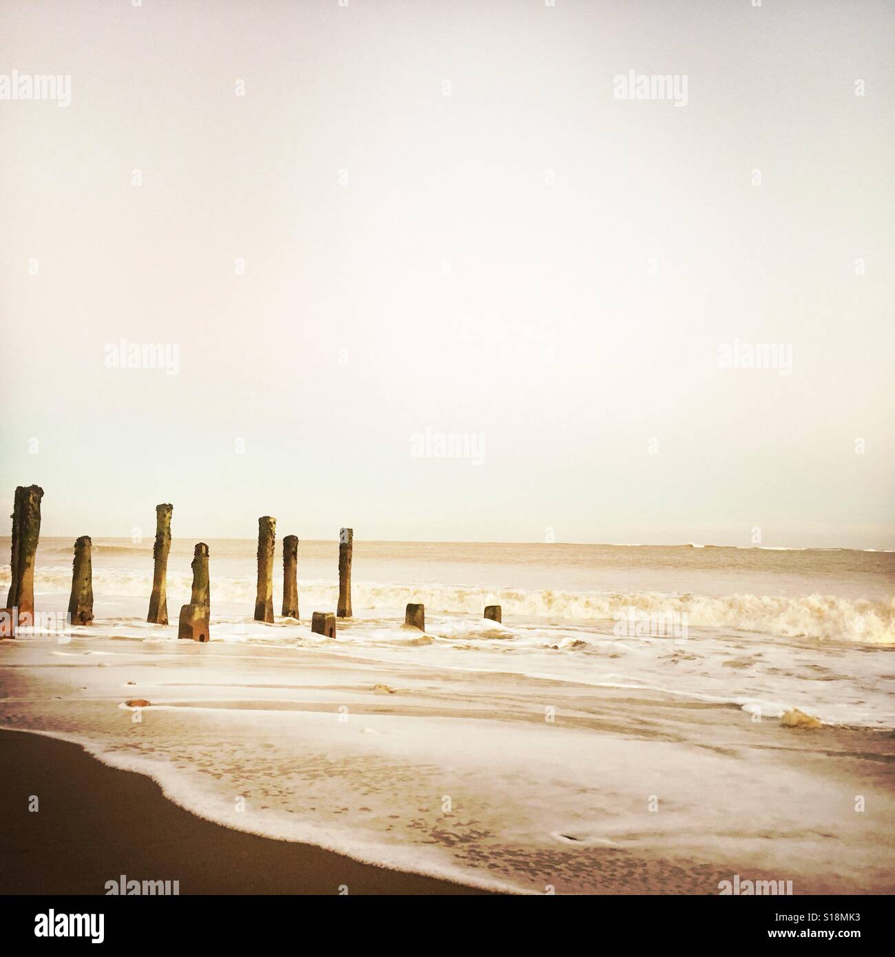 Wooden groynes part of the old sea defences at Spurn Point, Humberside, UK Stock Photo