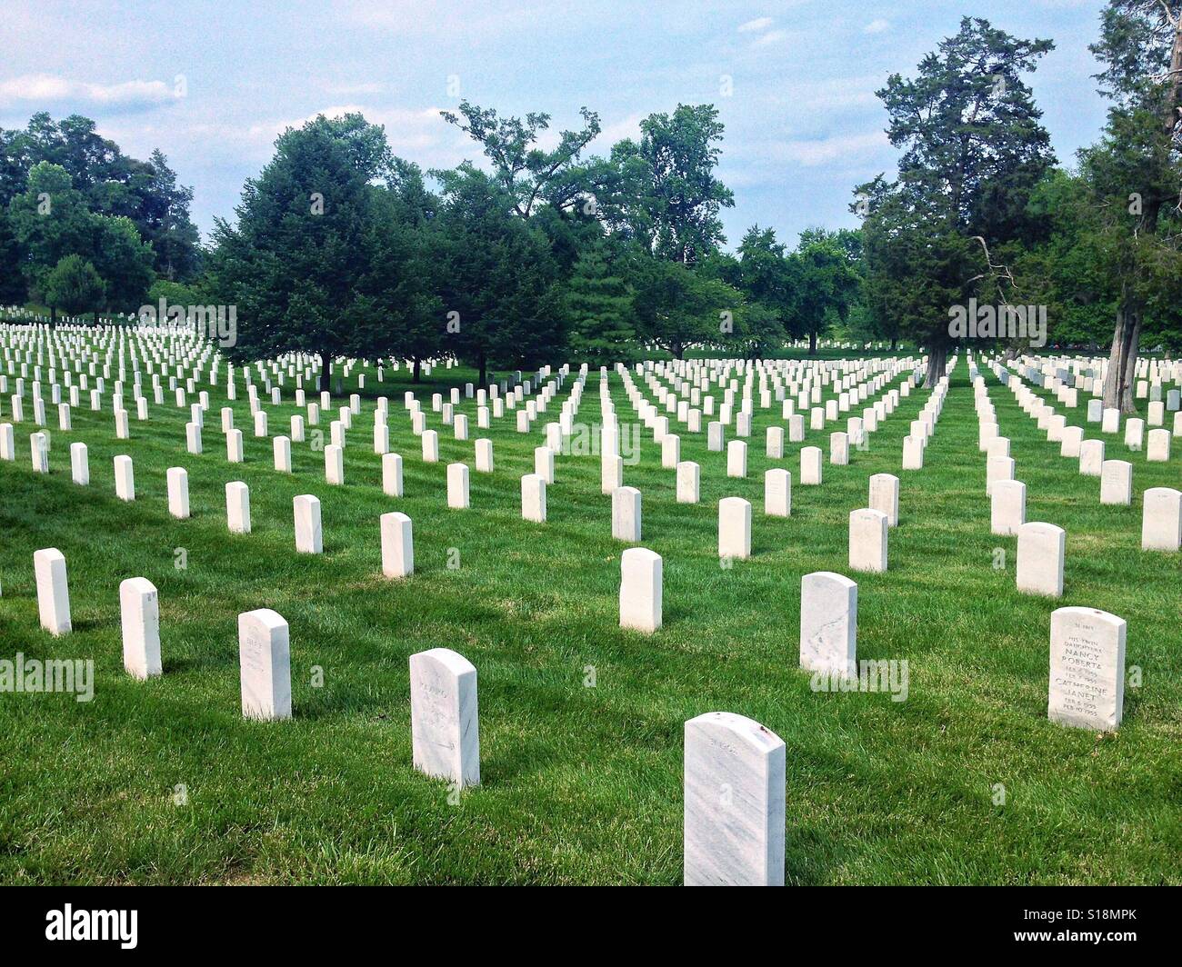 Rows of Headstones at Arlington National Cemetery Stock Photo