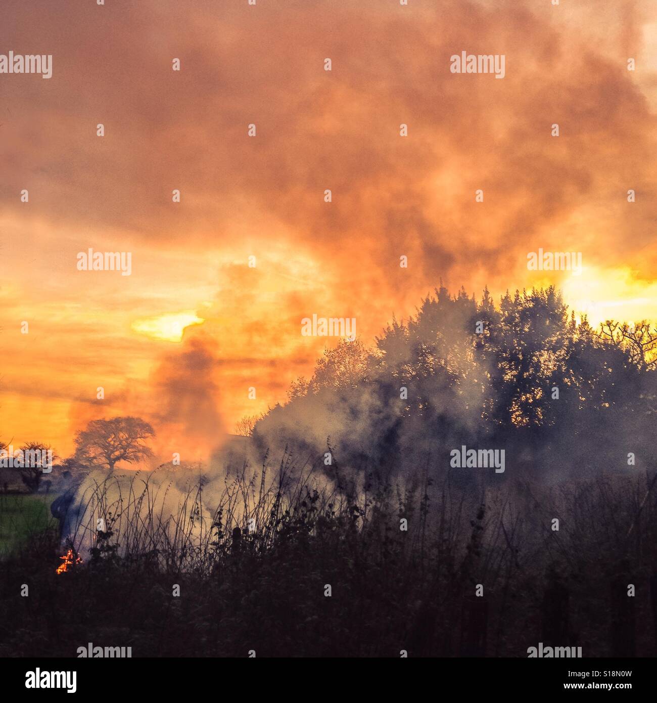 Bonfire at sunset in the countryside - Smartphone Captured Stock Image