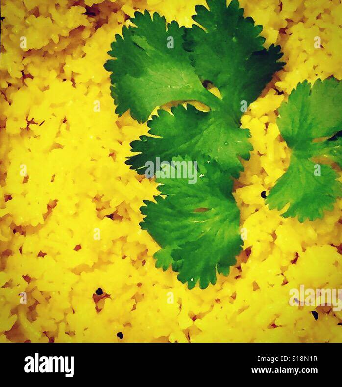 Yellow rice with cilantro by K.R. Stock Photo