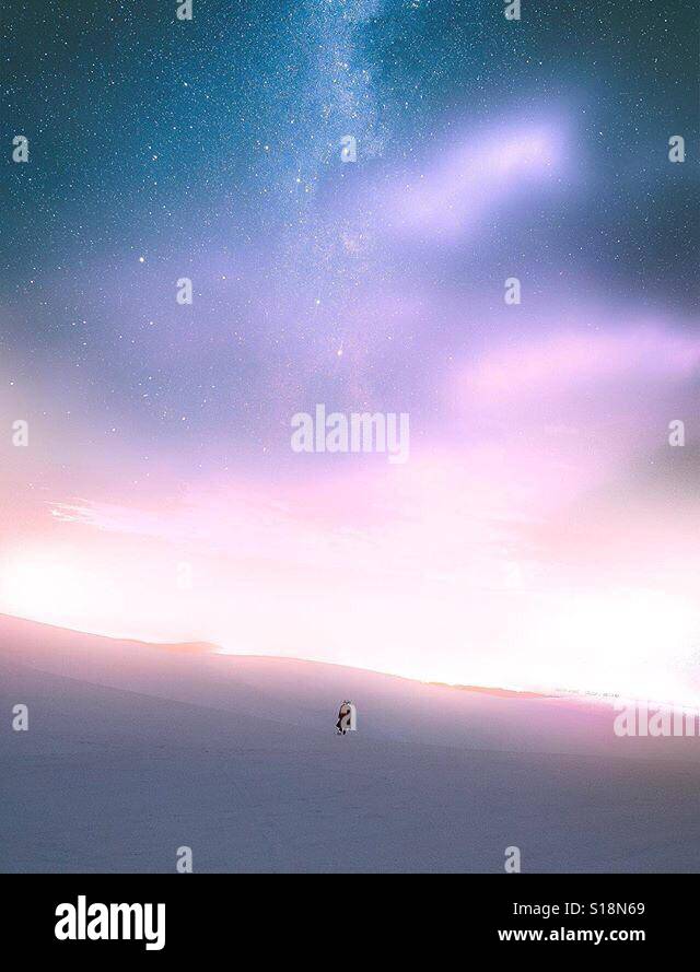 Lights will guide you home Stock Photo Alamy