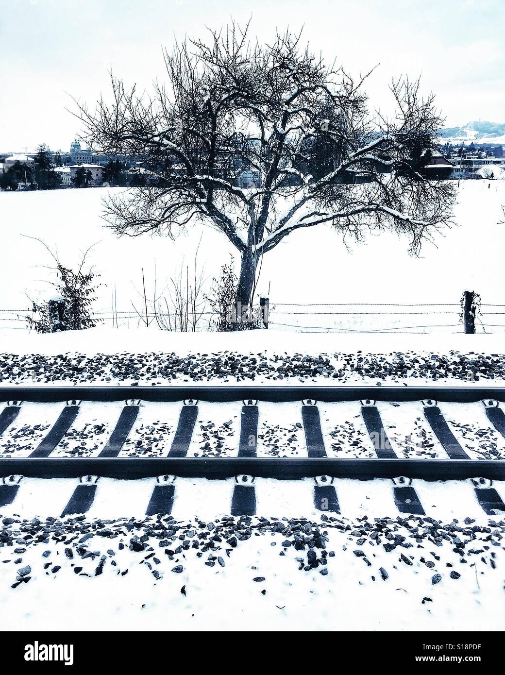 Railway tracks and tree in the snow - Smartphone Captured Stock Image